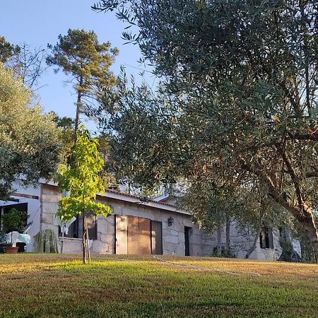Quinta Da Pedra Mija Casa de hóspedes Santar Exterior foto