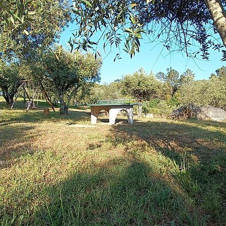 Quinta Da Pedra Mija Casa de hóspedes Santar Exterior foto