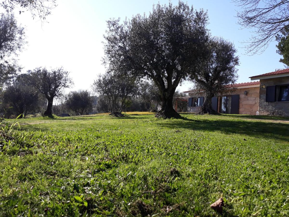 Quinta Da Pedra Mija Casa de hóspedes Santar Exterior foto