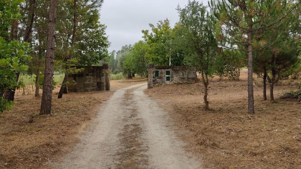 Quinta Da Pedra Mija Casa de hóspedes Santar Exterior foto