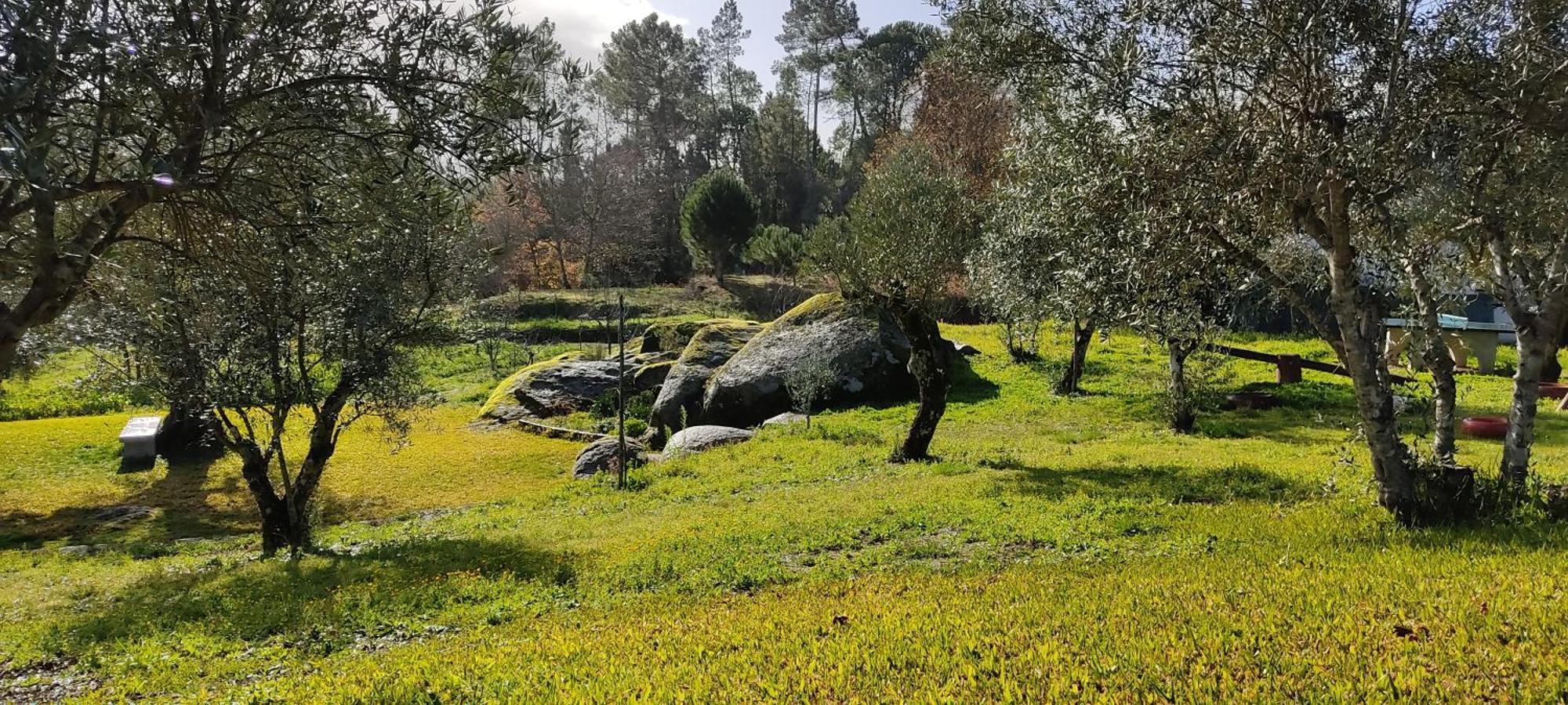 Quinta Da Pedra Mija Casa de hóspedes Santar Exterior foto