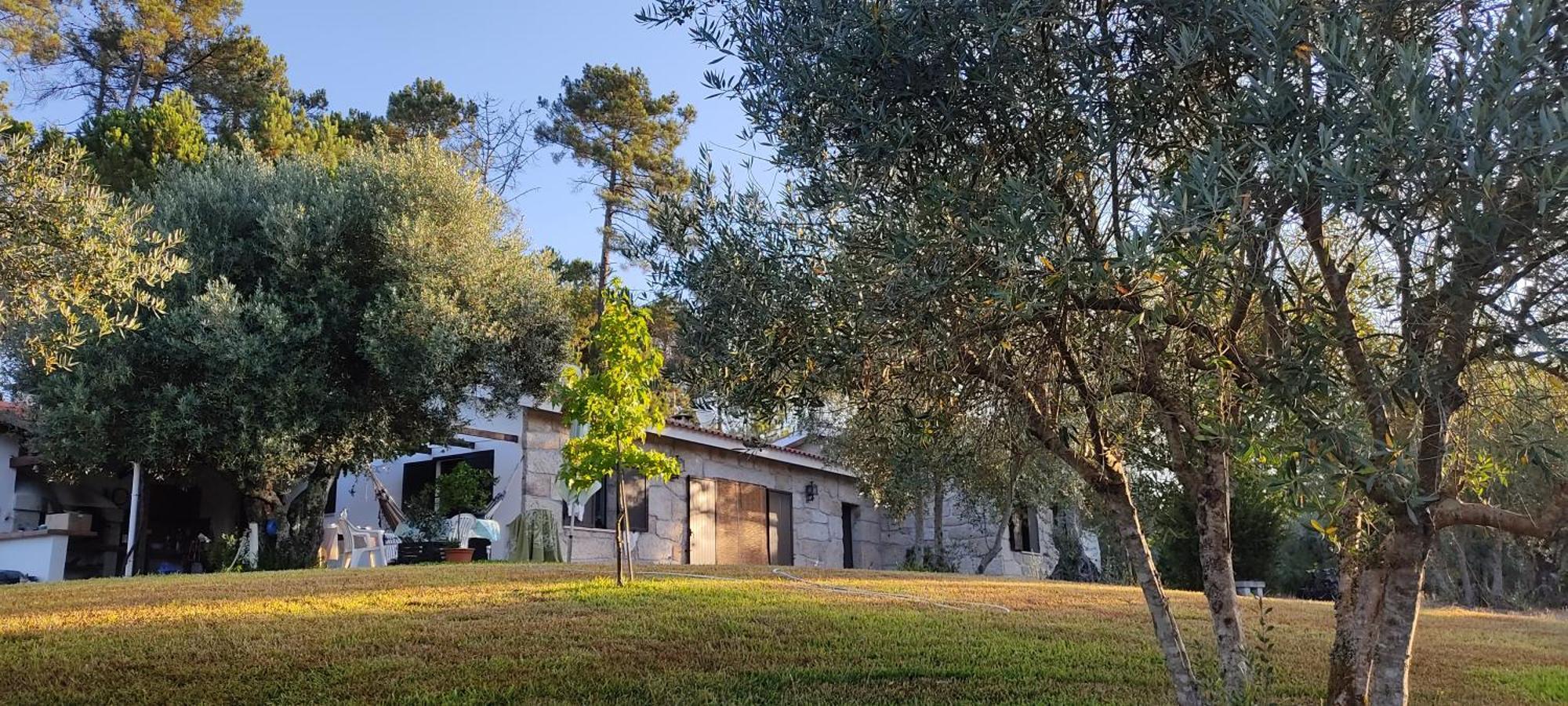 Quinta Da Pedra Mija Casa de hóspedes Santar Exterior foto