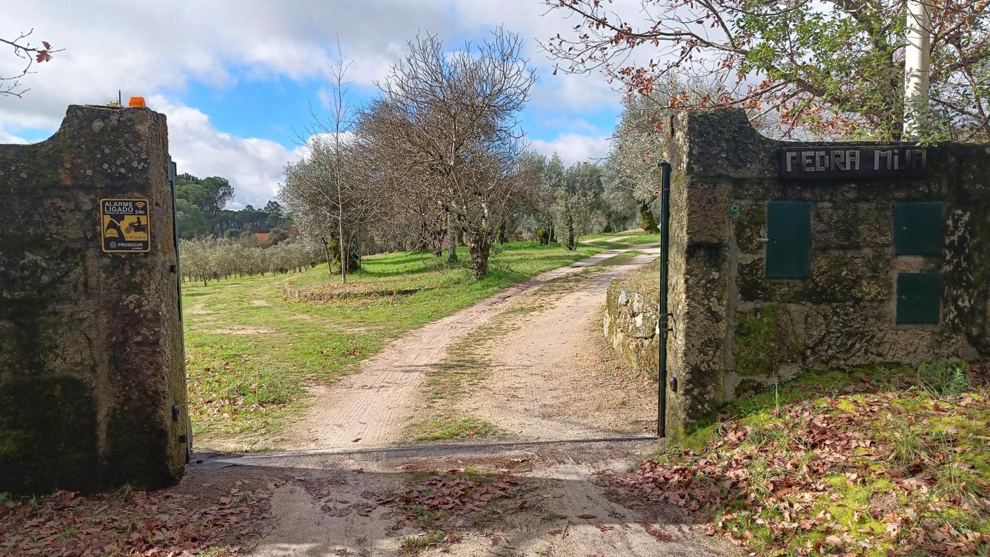 Quinta Da Pedra Mija Casa de hóspedes Santar Exterior foto