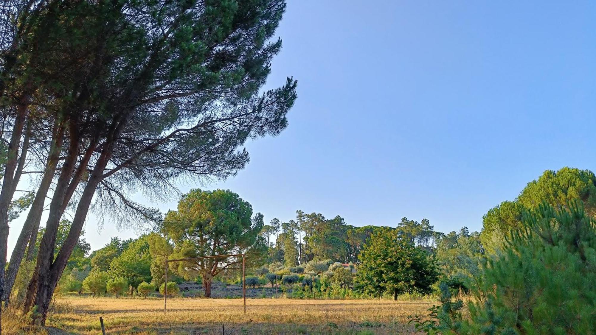 Quinta Da Pedra Mija Casa de hóspedes Santar Exterior foto