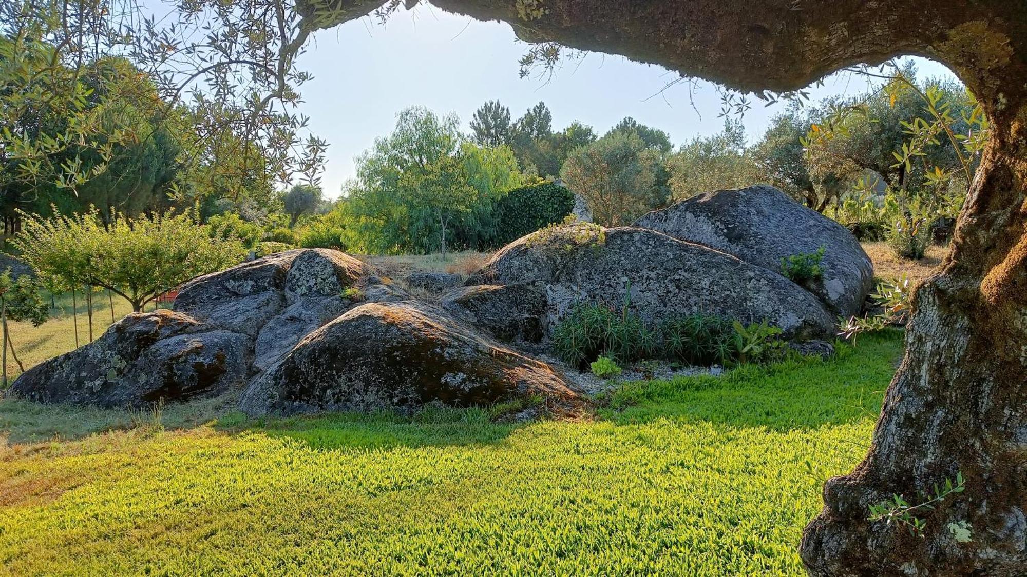 Quinta Da Pedra Mija Casa de hóspedes Santar Exterior foto