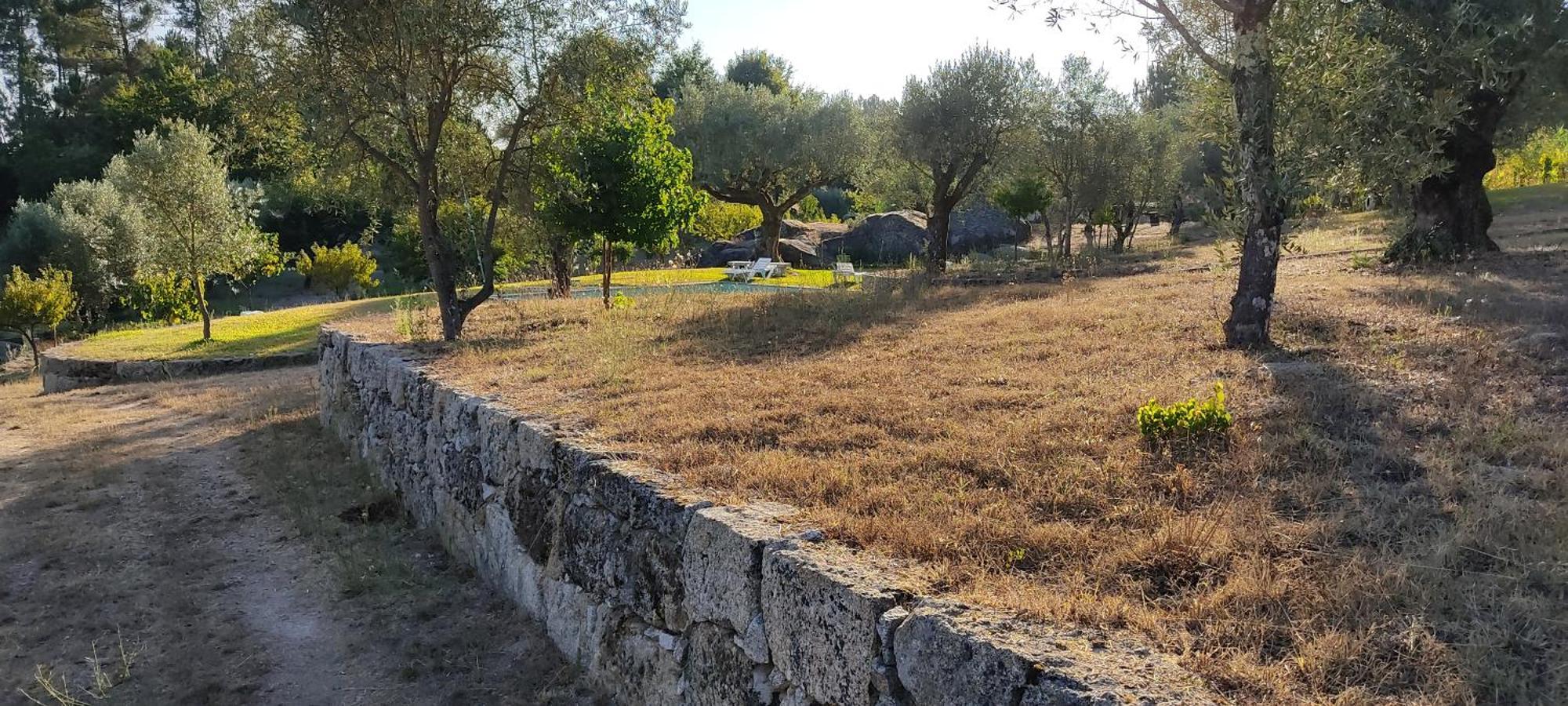 Quinta Da Pedra Mija Casa de hóspedes Santar Exterior foto