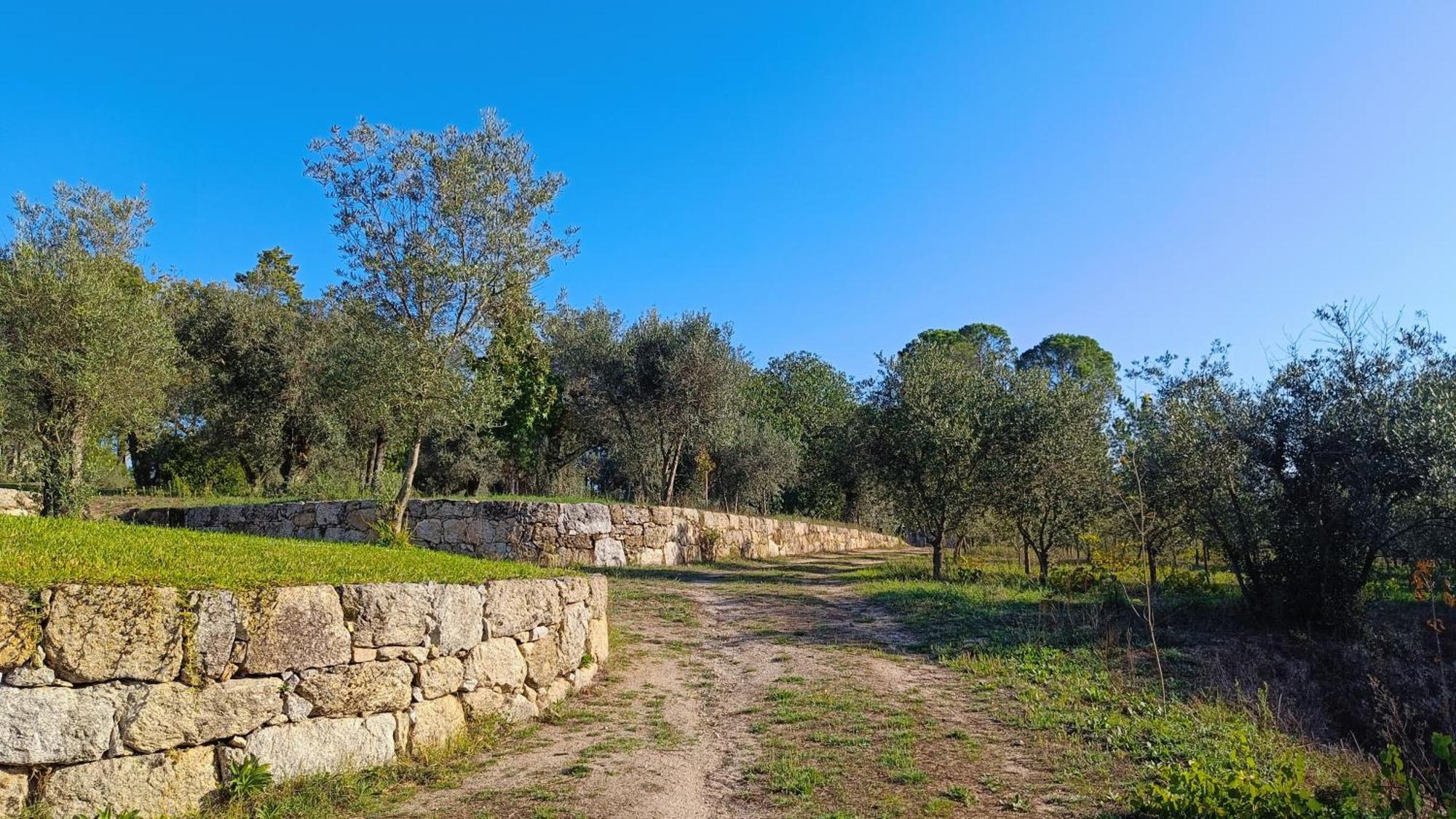 Quinta Da Pedra Mija Casa de hóspedes Santar Exterior foto