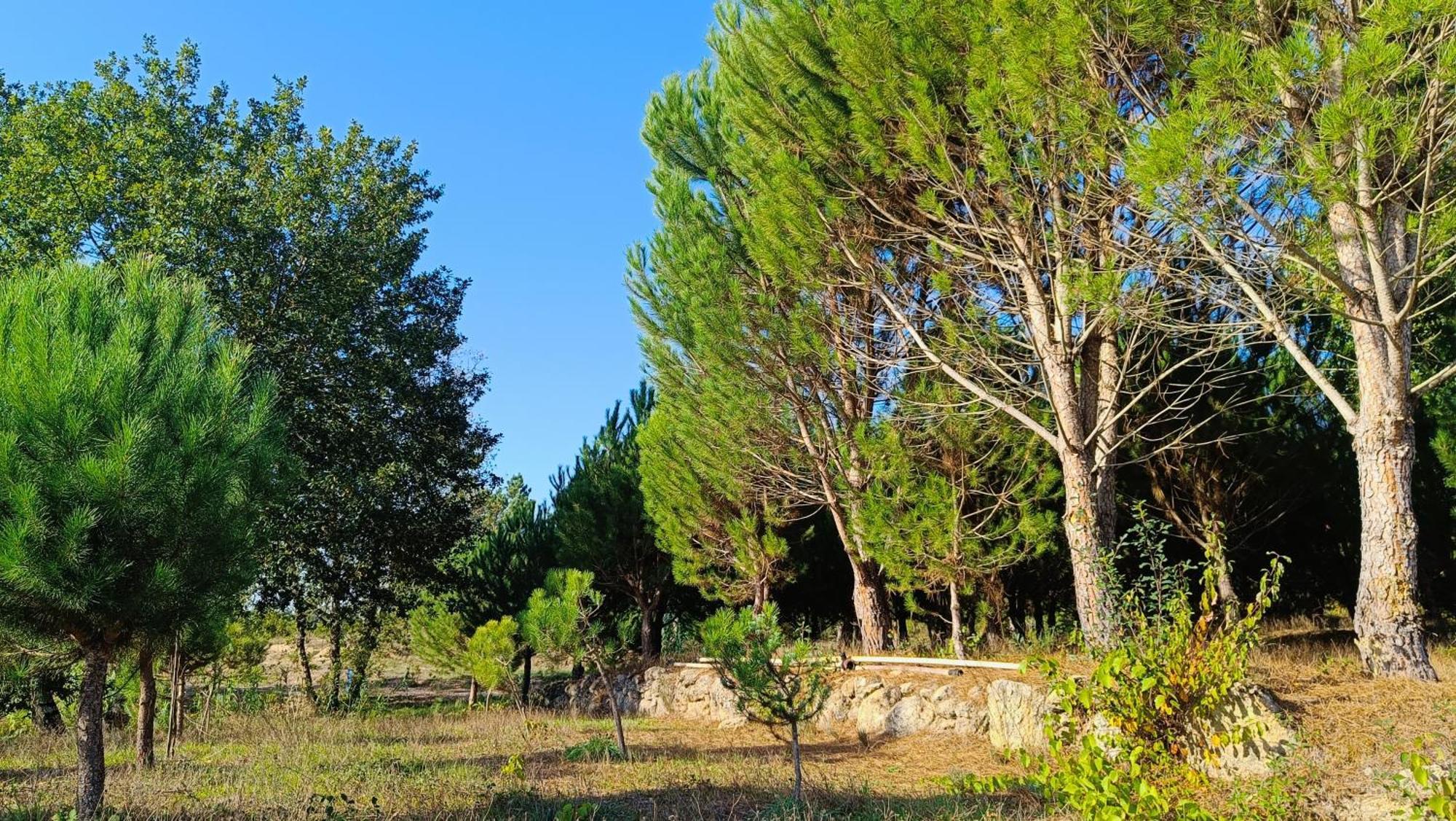 Quinta Da Pedra Mija Casa de hóspedes Santar Exterior foto