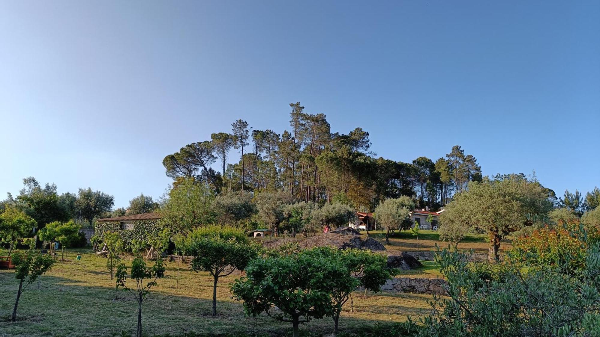 Quinta Da Pedra Mija Casa de hóspedes Santar Exterior foto