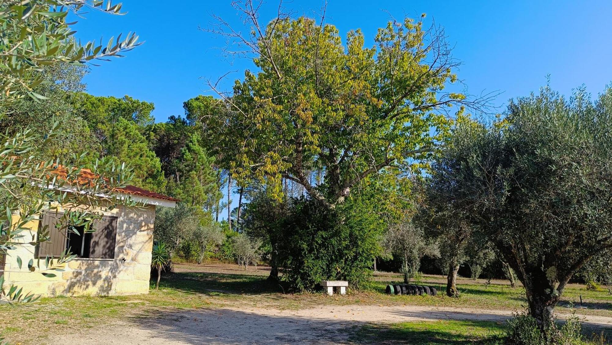 Quinta Da Pedra Mija Casa de hóspedes Santar Exterior foto