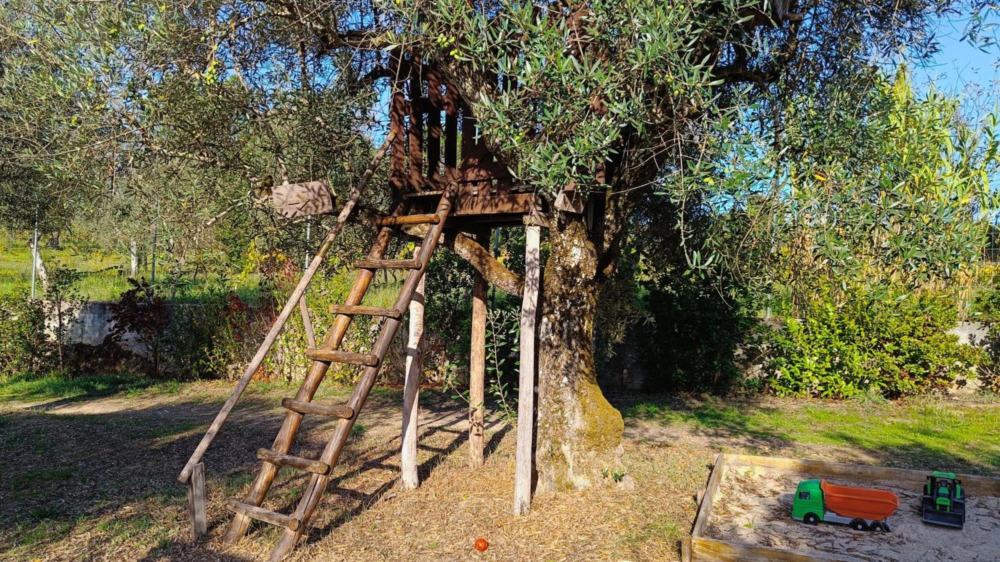 Quinta Da Pedra Mija Casa de hóspedes Santar Exterior foto