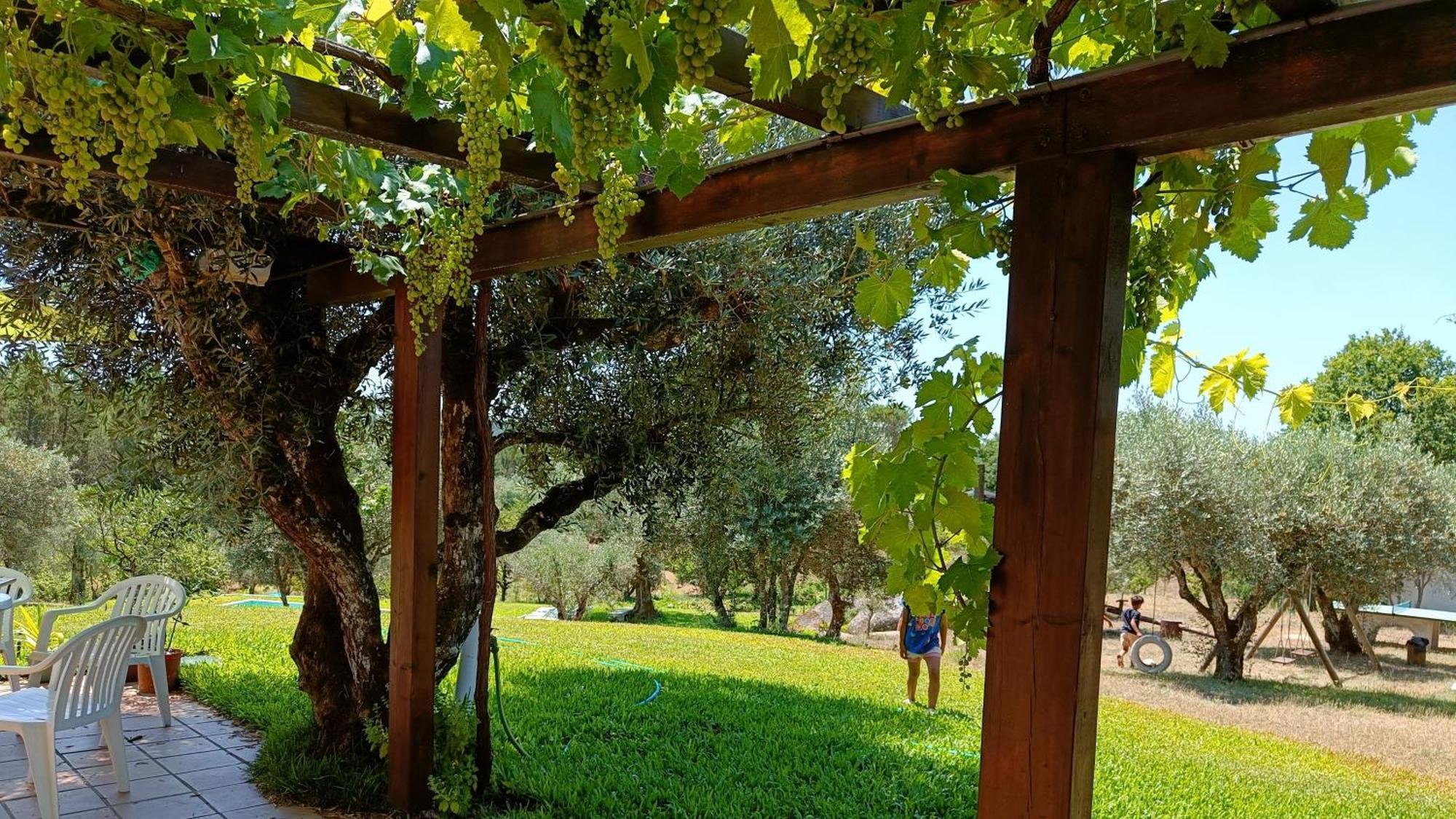 Quinta Da Pedra Mija Casa de hóspedes Santar Exterior foto