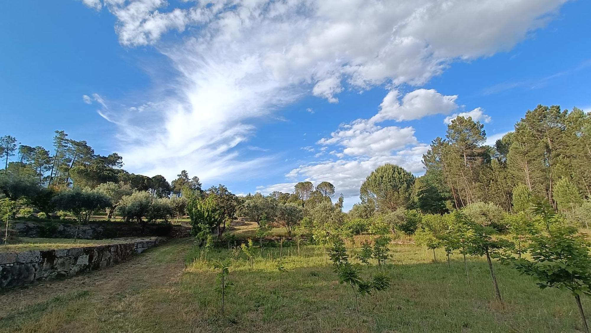 Quinta Da Pedra Mija Casa de hóspedes Santar Exterior foto