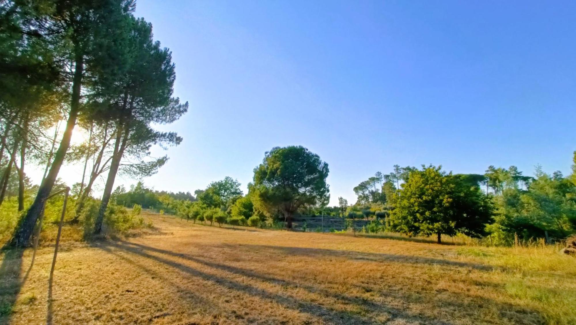 Quinta Da Pedra Mija Casa de hóspedes Santar Exterior foto