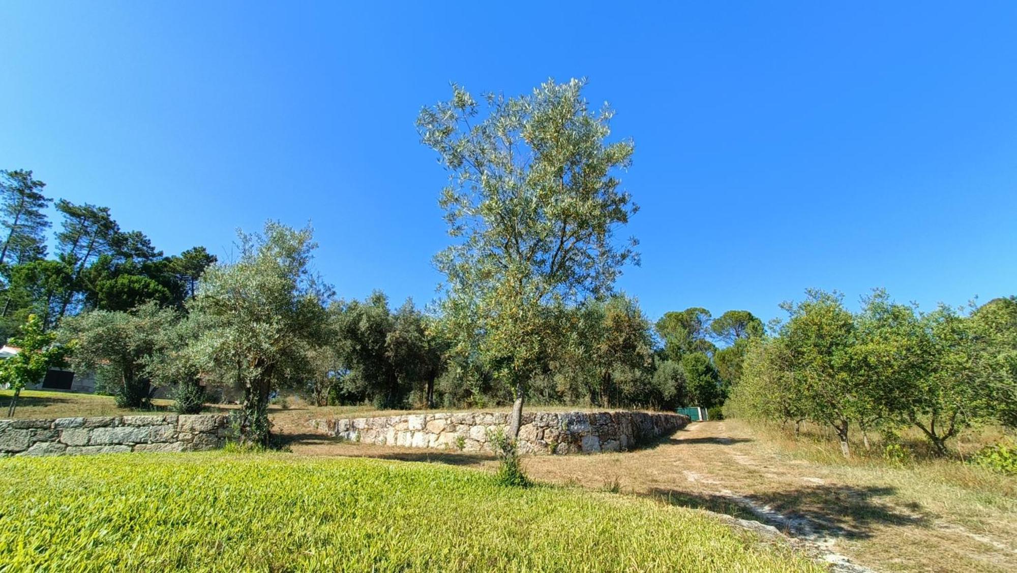 Quinta Da Pedra Mija Casa de hóspedes Santar Exterior foto